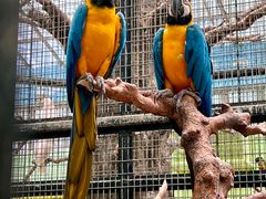 -北京野生动物园