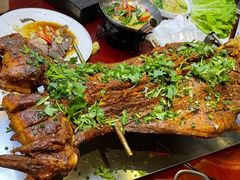 -杨正宗烤全羊(北二环店)