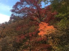 -少华山国家森林公园