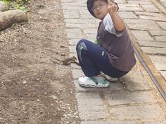 -五营红松林海景区