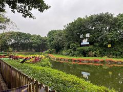 -广州长隆飞鸟乐园