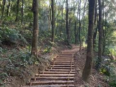 -广州市帽峰山景区