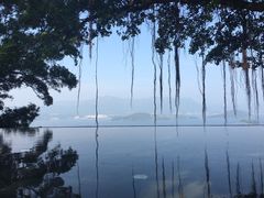 -大埔公路-马料水段香港中文大学(公交站)