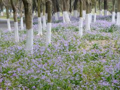 -白塘生态植物园