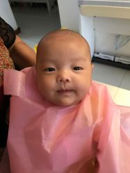 -上海小小宝婴儿理胎发胎毛笔