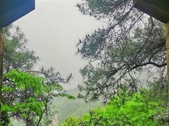 -缙云山景区