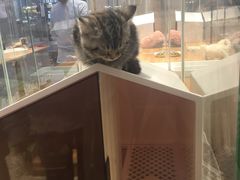 -狗道宠物(常熟印象城店)