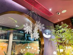 -花隐·美芙炫海菲秀皮肤管理中心