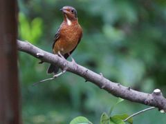 -苏州河梦清园环保主题公园