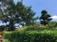 -胡里山炮台
