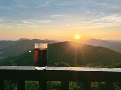 -三亚亚龙湾人间天堂鸟巢度假村