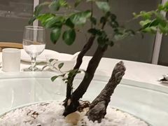 -御仙都北京菜馆·烤鸭店(双井店)