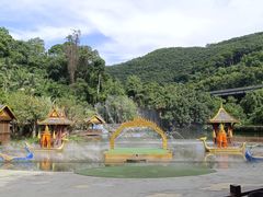 -西双版纳原始森林公园