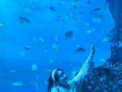 -威海华夏城景区