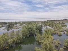 -黑河国家森林公园