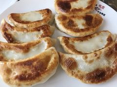 辣白菜煎饺-桃园中华料理炸酱面(燕儿岛路店)