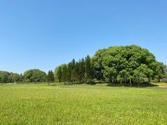 -福建鲤鱼洲酒店