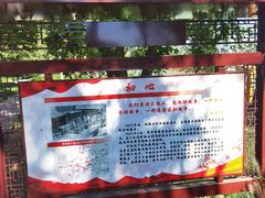 -阳台山自然风景区