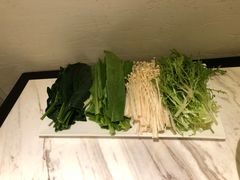 -汤城·料青山