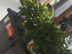 -刘火辣老火锅(光谷店)