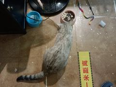 -逃脱反斗城沉浸剧情密室(北京路店)