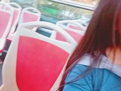 -BUS TOUR观光巴士