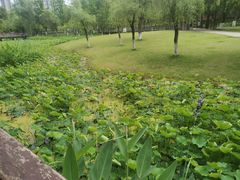 -沐仙湖湿地公园