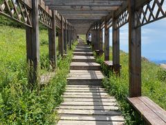 -白草畔自然风景区