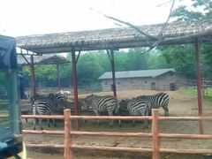 -西安秦岭野生动物园