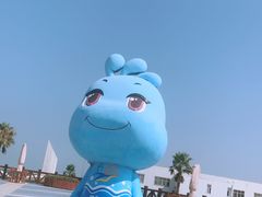 -碧海金沙