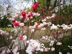 -上海市龙华烈士陵园