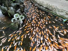 -荔城生鲜盛宴(番禺旗舰店)