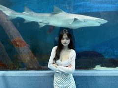 -合肥海洋世界