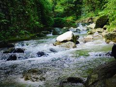 -神龙峡风景区