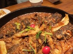 -老板恋上鱼(印象城店)