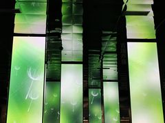 -中国湿地博物馆