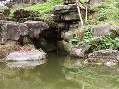 -秀丽东方