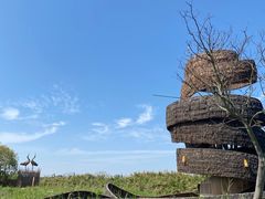-大湾区中央湿地公园
