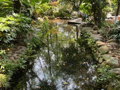 -成都市活水公园