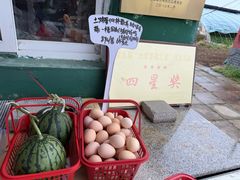 -大自然农场蔬菜草莓采摘园