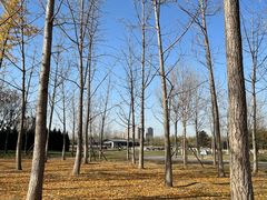 -汉长安城未央宫国家考古遗址公园