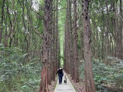 -同里国家湿地公园