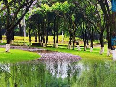 -重庆中央公园(渝北区)