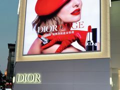 -Dior迪奥(上海世茂广场店)