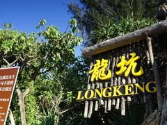 -龙坑生态保护区