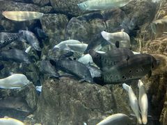 -成都浩海立方海洋公园