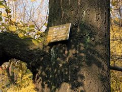 -四川大学(华西校区)