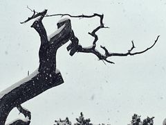 -景山公园