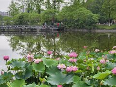 -成都南湖公园