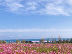 -青海湖二郎剑景区